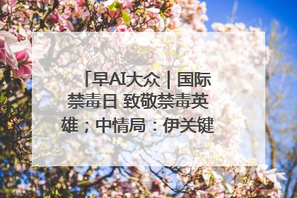 早AI大众｜国际禁毒日 致敬禁毒英雄；中情局：伊关键核设施被摧毁