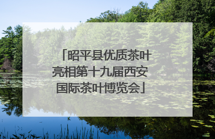 昭平县优质茶叶亮相第十九届西安国际茶叶博览会