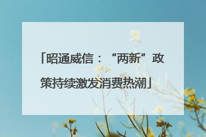 昭通威信：“两新”政策持续激发消费热潮
