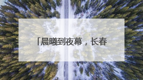 晨曦到夜幕，长春这条高速建设现场长鸣“奋进曲”
