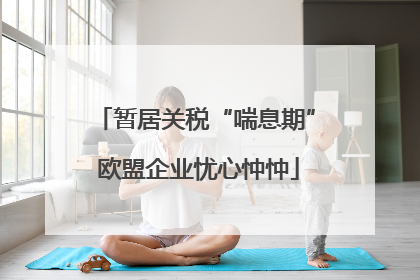 暂居关税“喘息期” 欧盟企业忧心忡忡