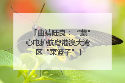 曲靖陆良：“蔬”心电护航粤港澳大湾区“菜篮子”