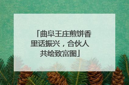 曲阜王庄煎饼香里话振兴，合伙人共绘致富图