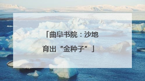 曲阜书院：沙地育出“金种子”