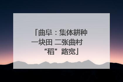 曲阜：集体耕种一块田 二张曲村“稻”路宽