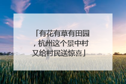 有花有草有田园，杭州这个景中村又给村民送惊喜