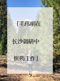 毛伟明在长沙调研中医药工作