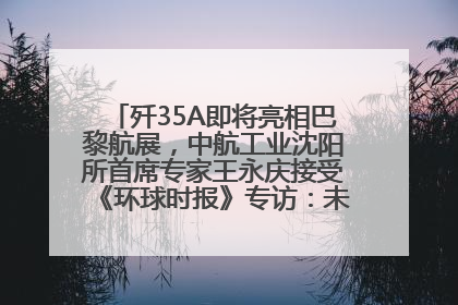 歼35A即将亮相巴黎航展，中航工业沈阳所首席专家王永庆接受《环球时报》专访：未来数量可以有很多