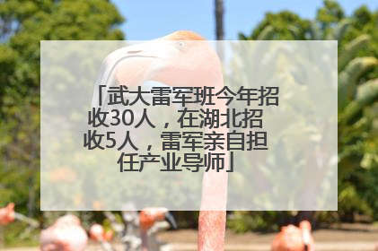 武大雷军班今年招收30人，在湖北招收5人，雷军亲自担任产业导师
