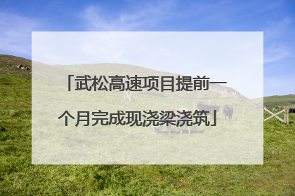 武松高速项目提前一个月完成现浇梁浇筑