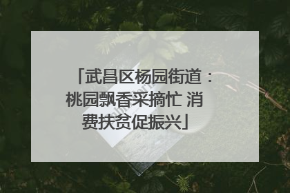 武昌区杨园街道：桃园飘香采摘忙 消费扶贫促振兴