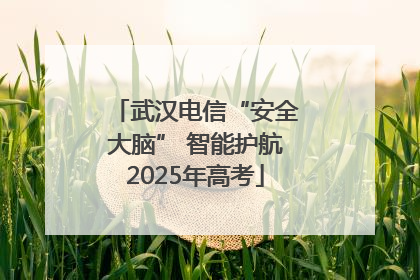 武汉电信“安全大脑” 智能护航2025年高考
