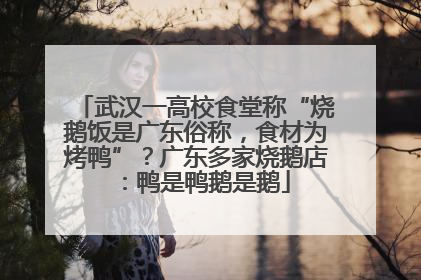 武汉一高校食堂称“烧鹅饭是广东俗称，食材为烤鸭”？广东多家烧鹅店：鸭是鸭鹅是鹅