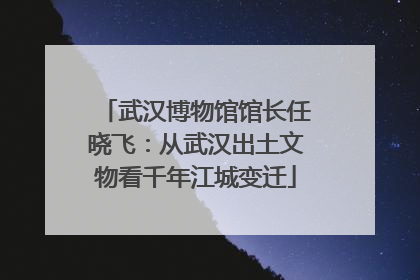 武汉博物馆馆长任晓飞：从武汉出土文物看千年江城变迁