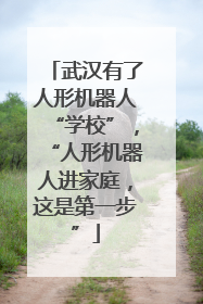 武汉有了人形机器人“学校”，“人形机器人进家庭，这是第一步”