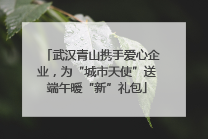 武汉青山携手爱心企业，为“城市天使”送端午暖“新”礼包