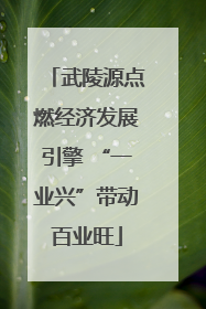 武陵源点燃经济发展引擎 “一业兴”带动百业旺