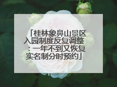 桂林象鼻山景区入园制度反复调整：一年不到又恢复实名制分时预约