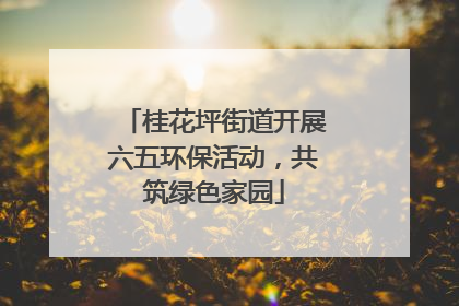 桂花坪街道开展六五环保活动，共筑绿色家园