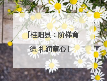 桂阳县：阶梯育德 礼润童心