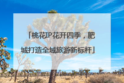 桃花IP花开四季，肥城打造全域旅游新标杆