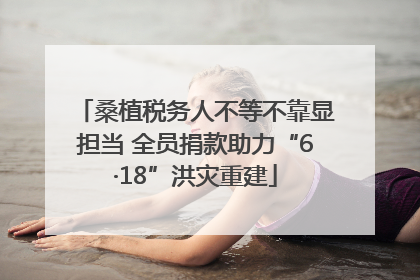 桑植税务人不等不靠显担当 全员捐款助力“6·18”洪灾重建