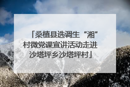 桑植县选调生“湘”村微党课宣讲活动走进沙塔坪乡沙塔坪村