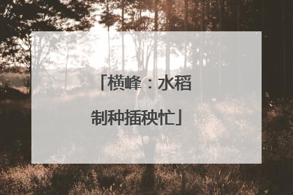 横峰：水稻制种插秧忙