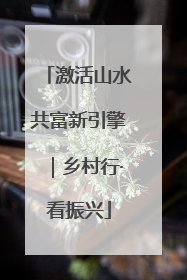 激活山水共富新引擎｜乡村行·看振兴