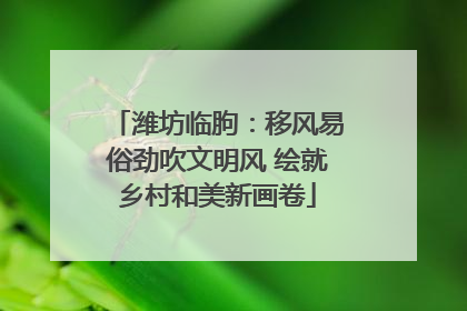 潍坊临朐：移风易俗劲吹文明风 绘就乡村和美新画卷