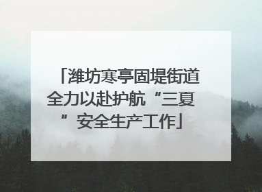 潍坊寒亭固堤街道全力以赴护航“三夏”安全生产工作