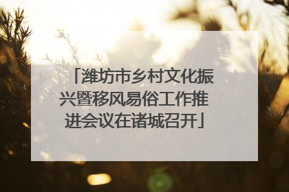 潍坊市乡村文化振兴暨移风易俗工作推进会议在诸城召开