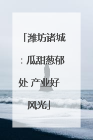 潍坊诸城：瓜甜葱郁处 产业好风光