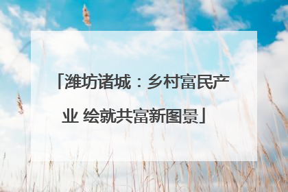 潍坊诸城：乡村富民产业 绘就共富新图景