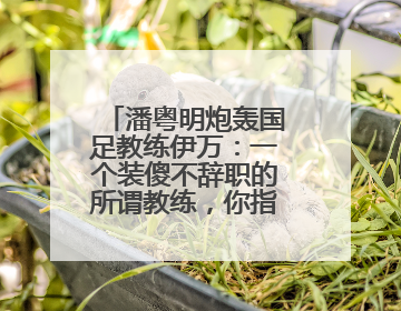 潘粤明炮轰国足教练伊万：一个装傻不辞职的所谓教练，你指望它拯救中国足球！此前曾多次发文评价国足