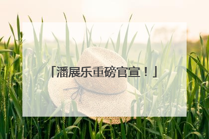潘展乐重磅官宣！