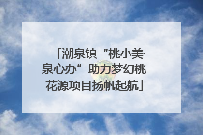 潮泉镇“桃小美·泉心办”助力梦幻桃花源项目扬帆起航