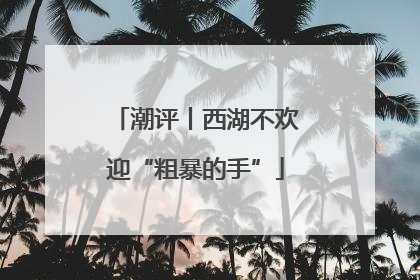 潮评丨西湖不欢迎“粗暴的手”