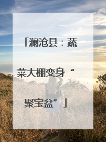 澜沧县：蔬菜大棚变身“聚宝盆”