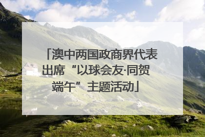澳中两国政商界代表出席“以球会友·同贺端午”主题活动