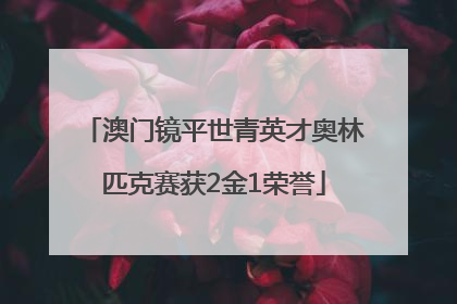澳门镜平世青英才奥林匹克赛获2金1荣誉