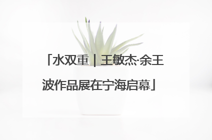 水双重｜王敏杰·余王波作品展在宁海启幕