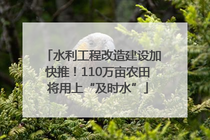 水利工程改造建设加快推！110万亩农田将用上“及时水”