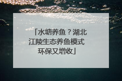 水塘养鱼？湖北江陵生态养鱼模式环保又增收