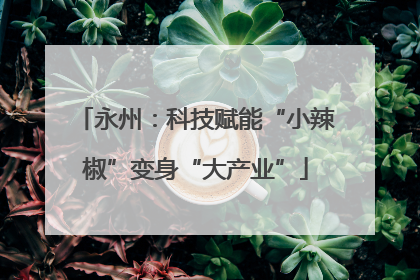 永州：科技赋能“小辣椒”变身“大产业”