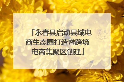 永春县启动县域电商生态圈打造暨跨境电商集聚区创建