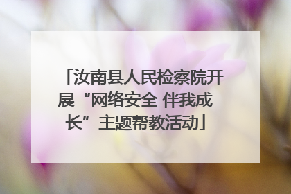 汝南县人民检察院开展“网络安全 伴我成长”主题帮教活动