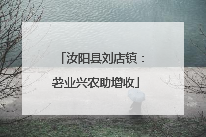 汝阳县刘店镇：薯业兴农助增收