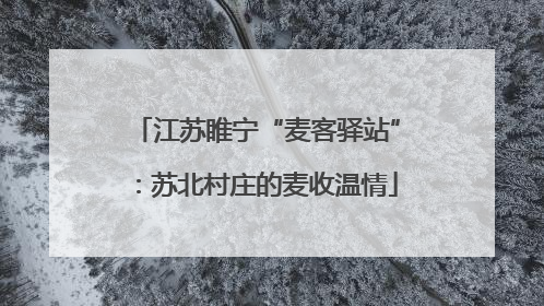江苏睢宁“麦客驿站”：苏北村庄的麦收温情