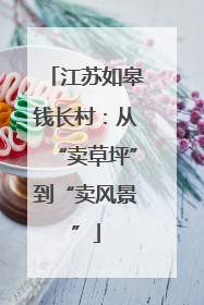 江苏如皋钱长村：从“卖草坪”到“卖风景”